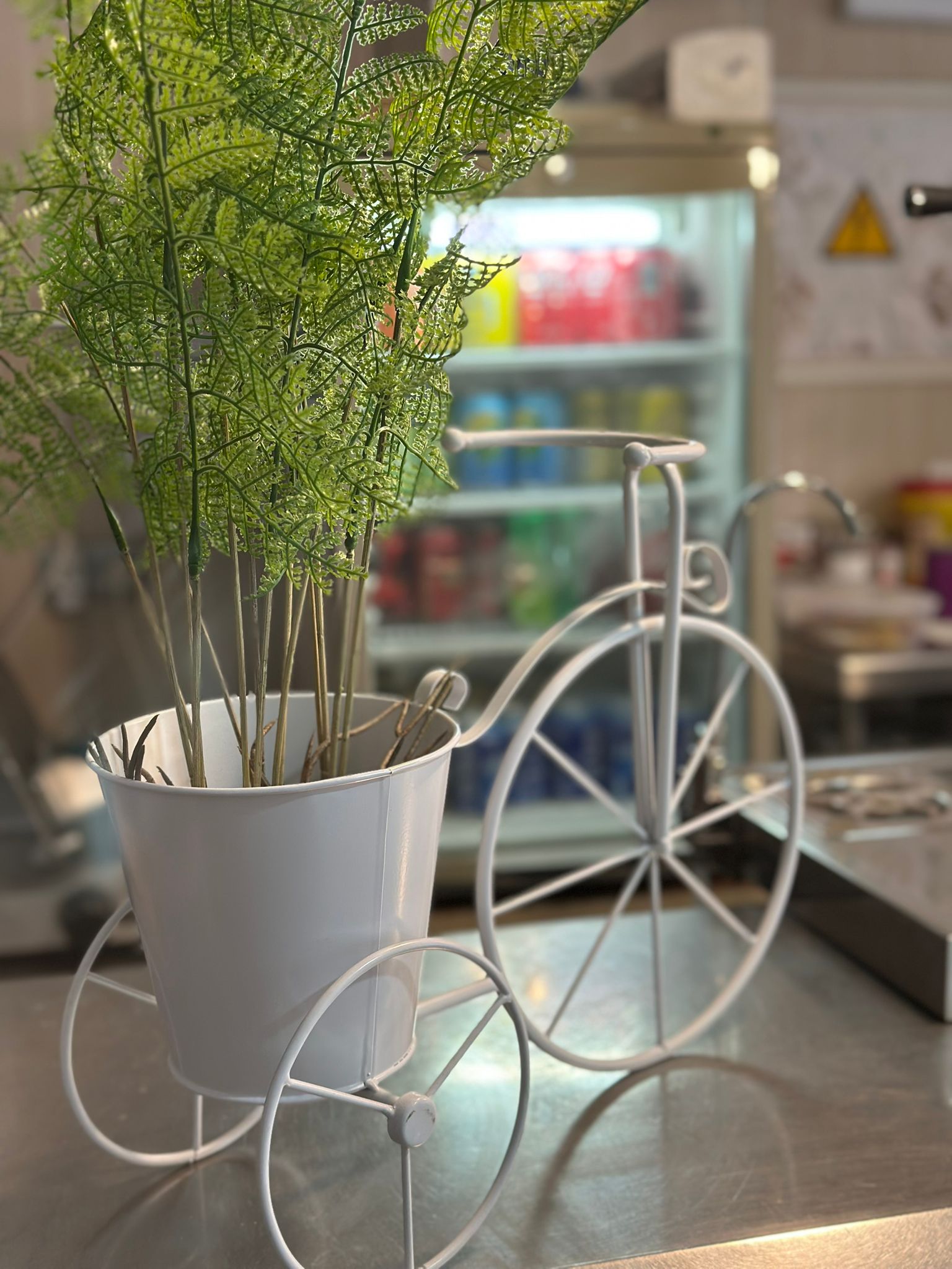 Bicicleta y plantas en el ambiente acogedor de Osías